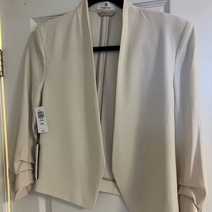 Aritzia power blazer